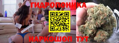 дмт Кандалакша