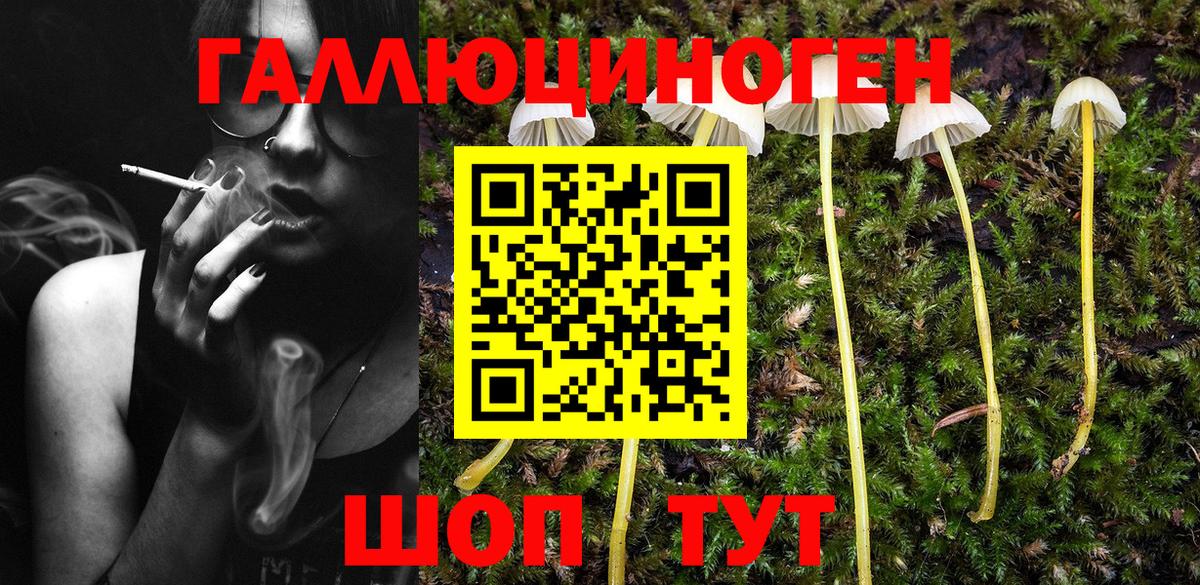 Галлюциногенные грибы мицелий Краснодар